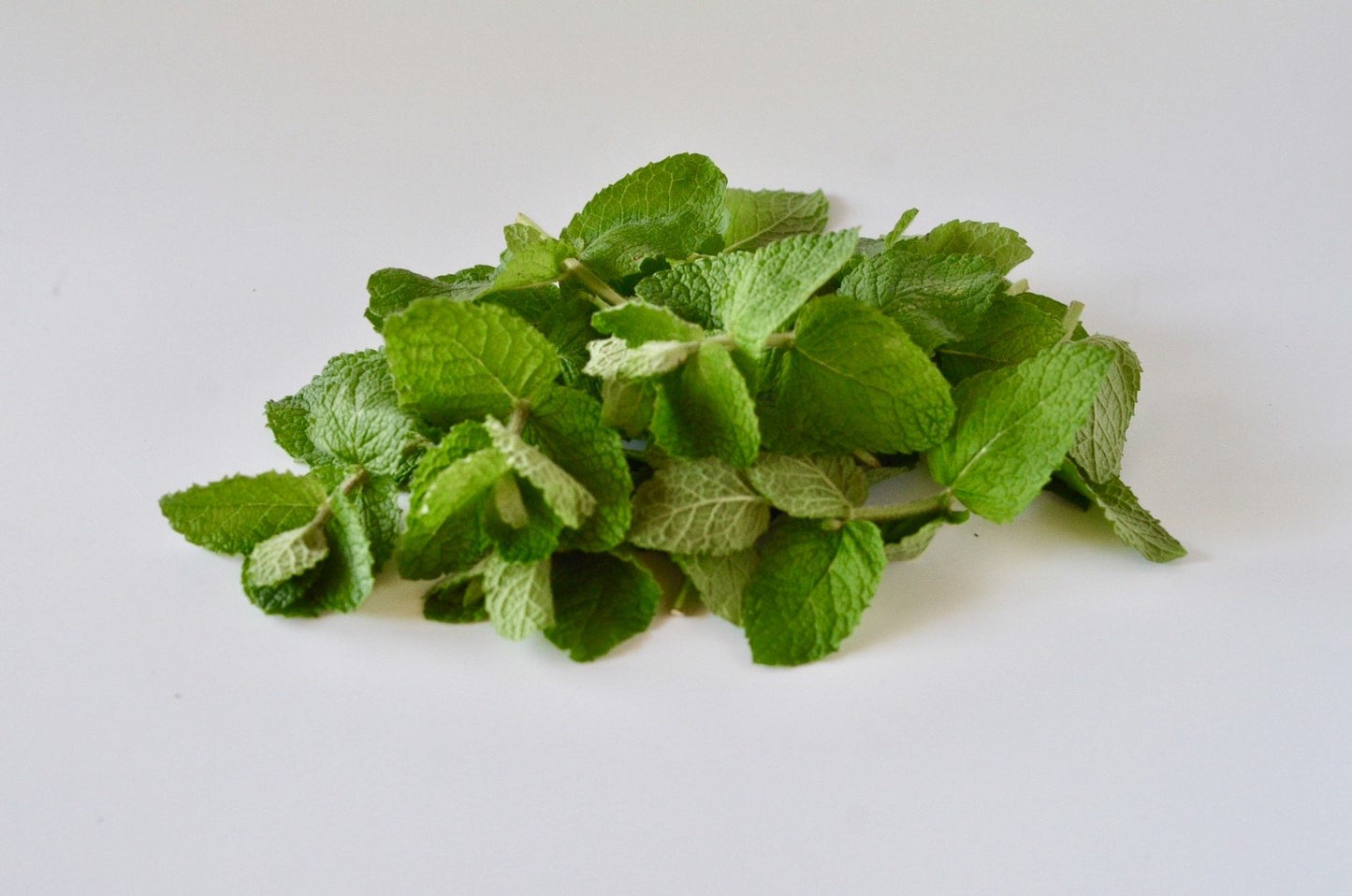 自然農スペアミント画像