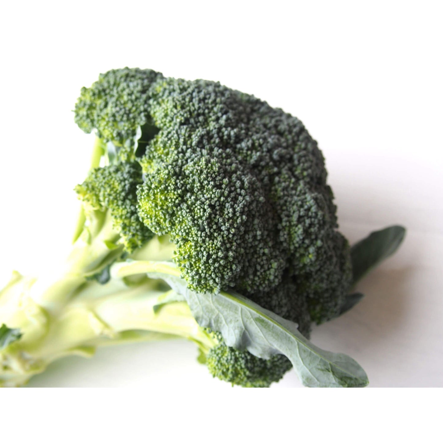 ブロッコリー(減農薬・自然)画像