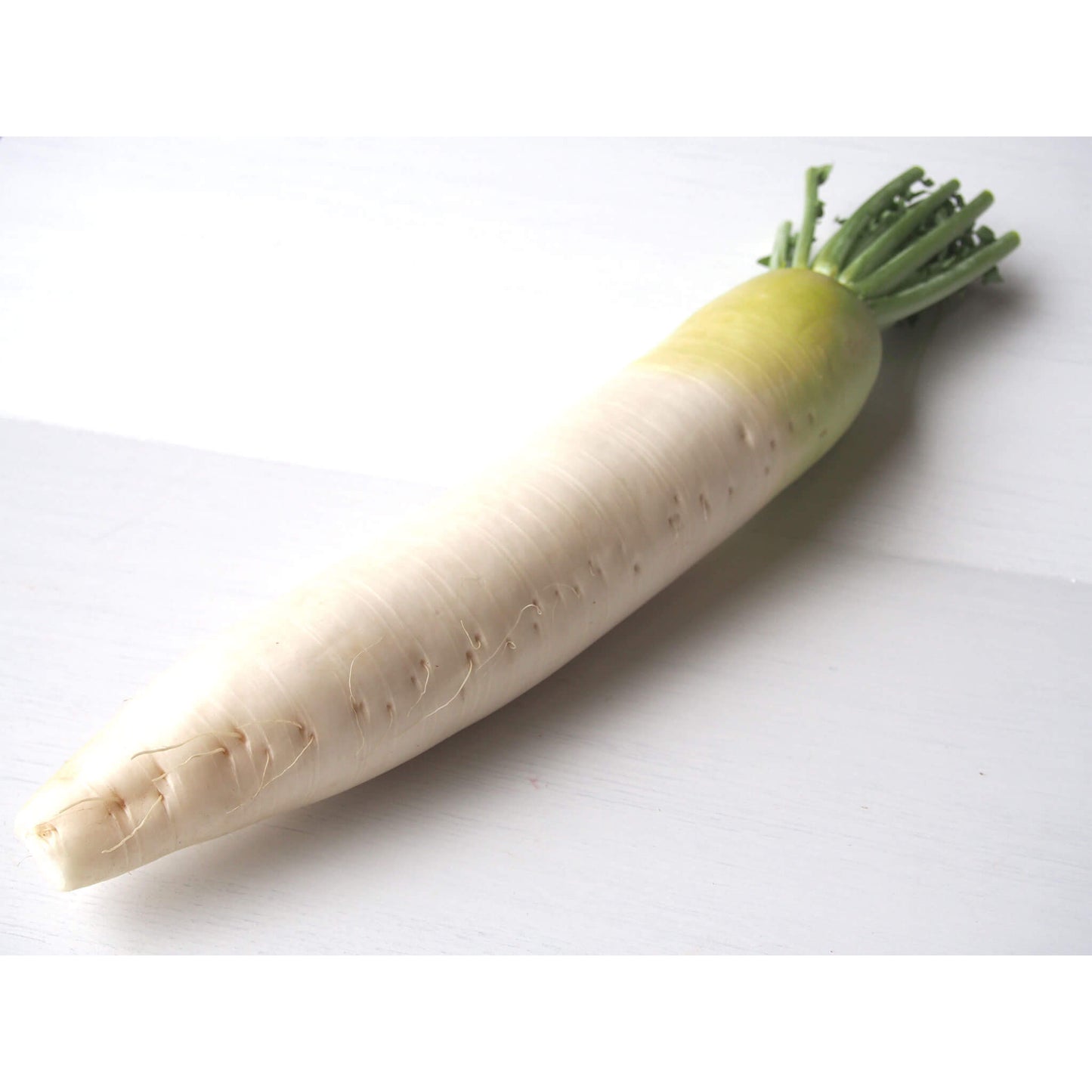 大根(減農薬)画像