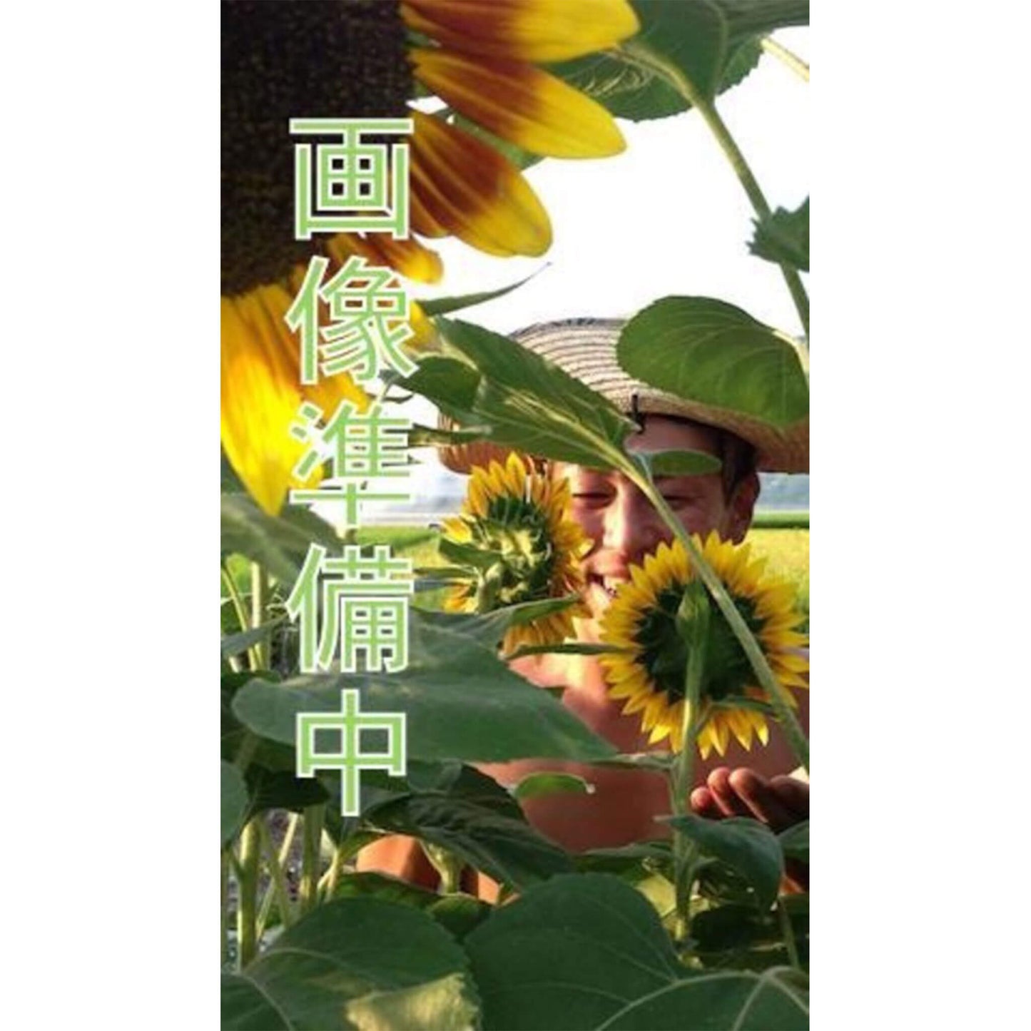 【今だけ】農薬不使用グリーンピース|150g