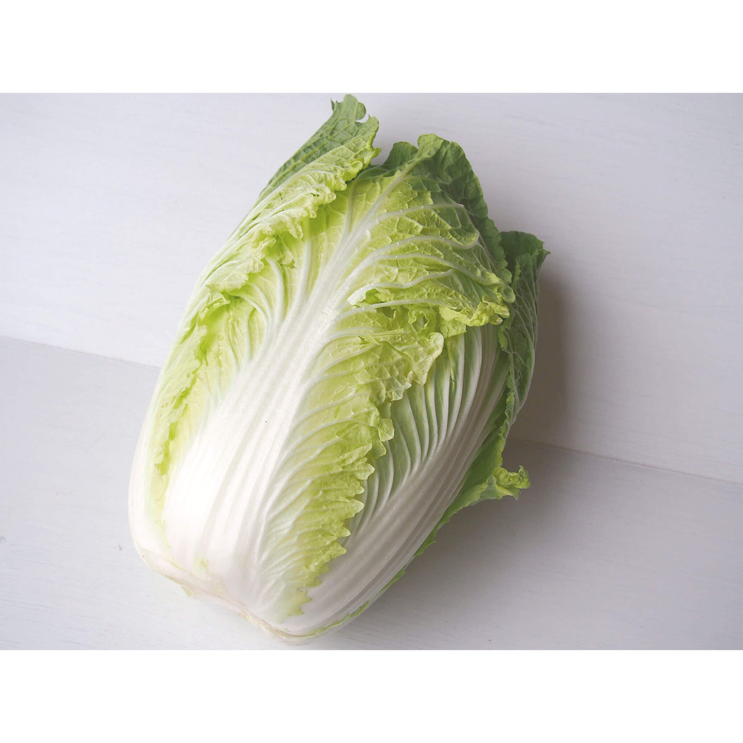 【欠品可能性有】白菜(減農薬)|約1kg〜1.5kg位