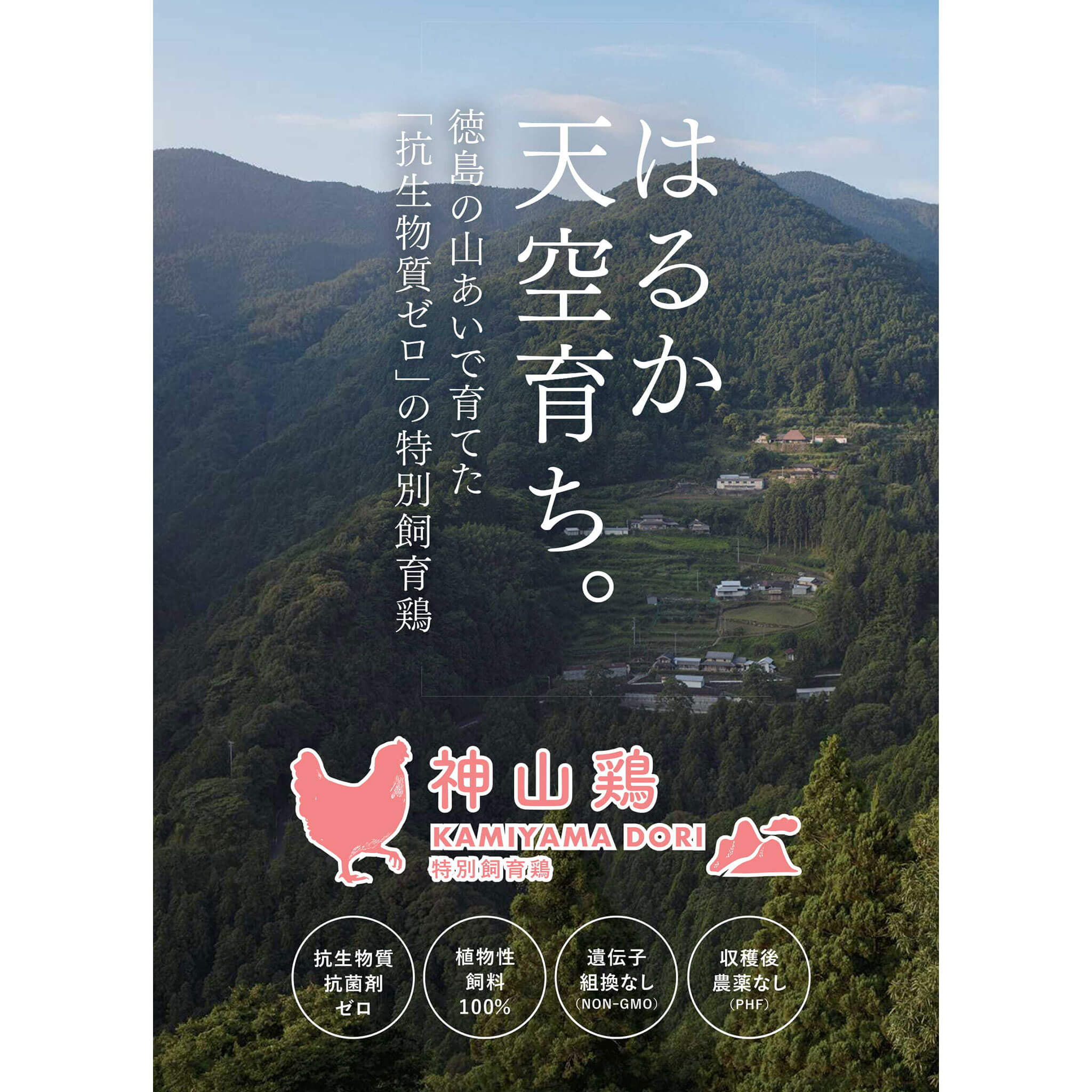 マリーローズ 無修正 全裸 神山鶏ガラ – 阿波ツクヨミファーム