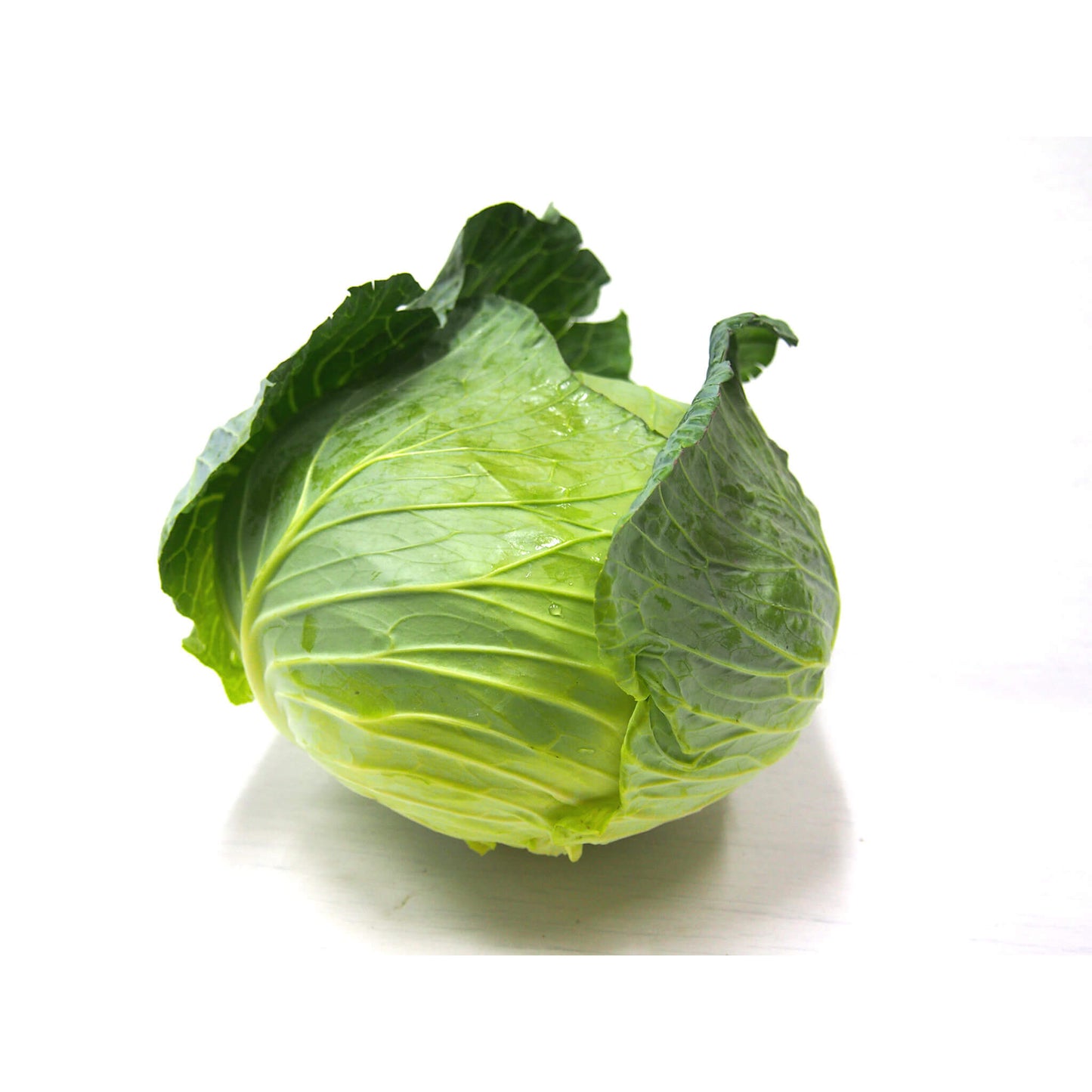 キャベツ(農薬不使用)画像