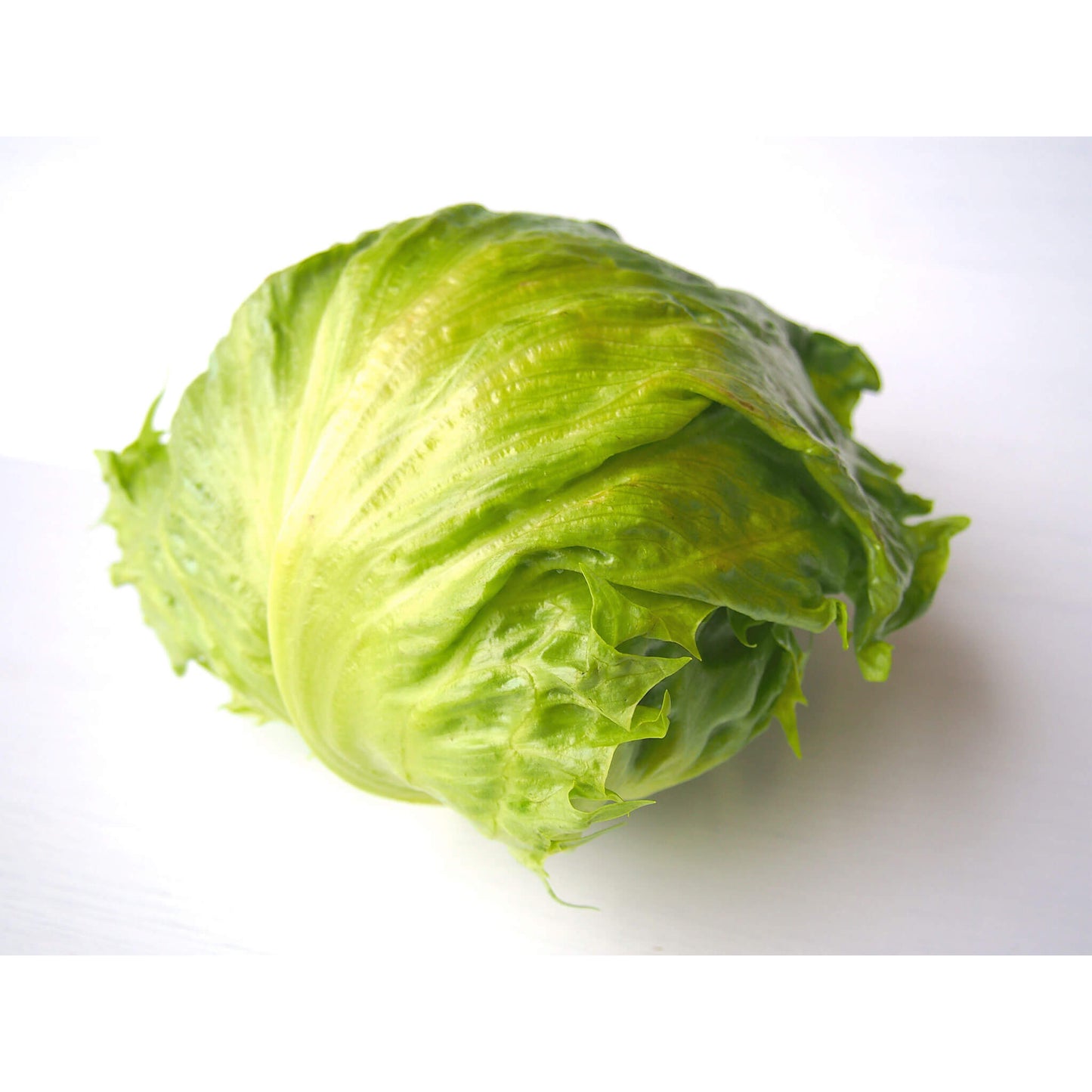 レタスの画像