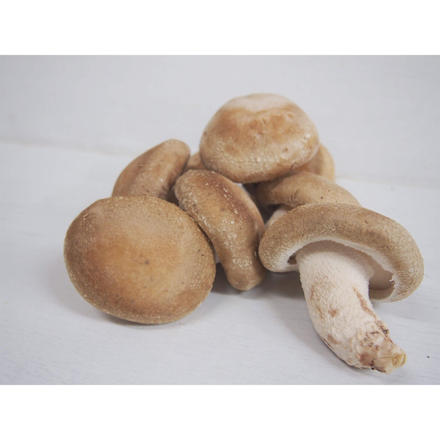 干し原木椎茸(農薬不使用)|40g