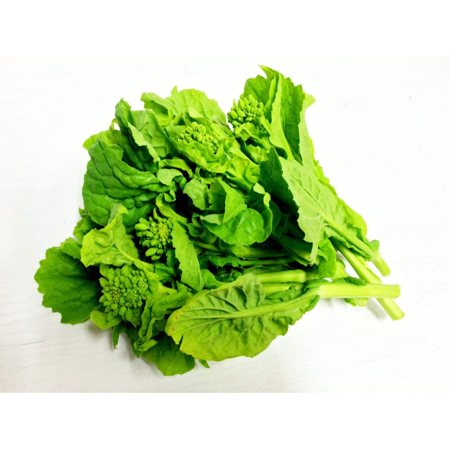 農薬不使用菜の花画像