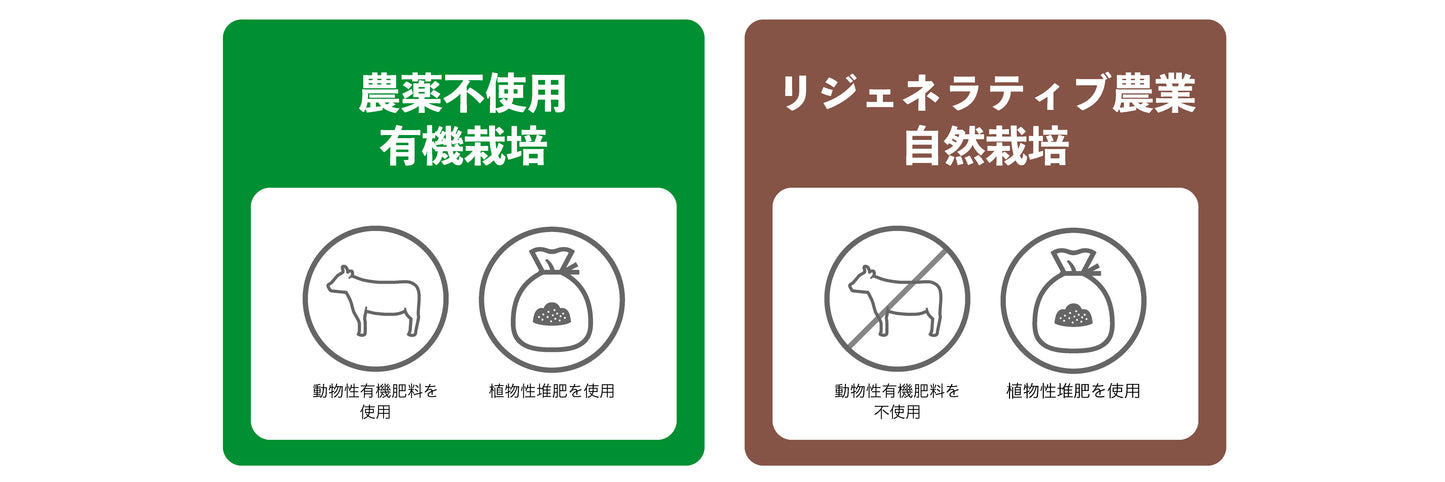 【 橙 ‐だいだい‐ 】ツクヨミお任せ野菜セット(農薬不使用・自然農)