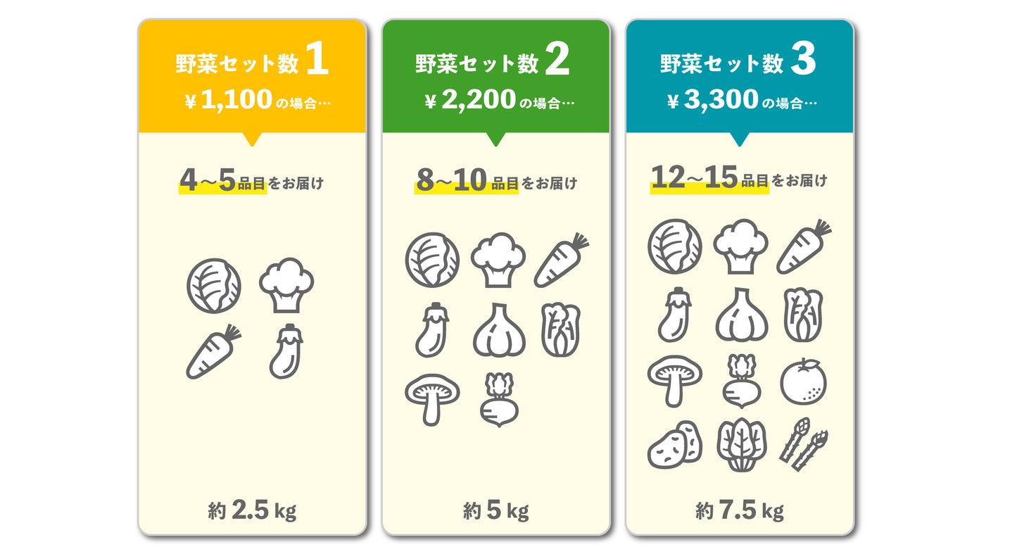 【 橙 ‐だいだい‐ 】ツクヨミお任せ野菜セット（農薬不使用・自然農）