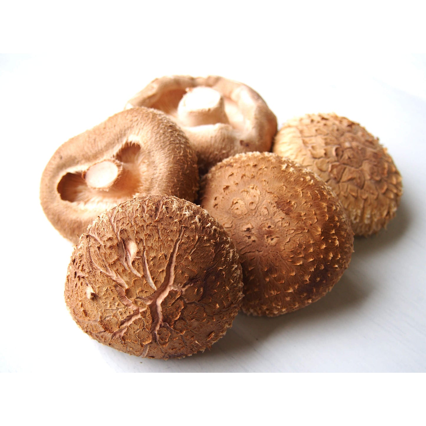 堀脇さんちの肉厚椎茸(農薬不使用)|約250g