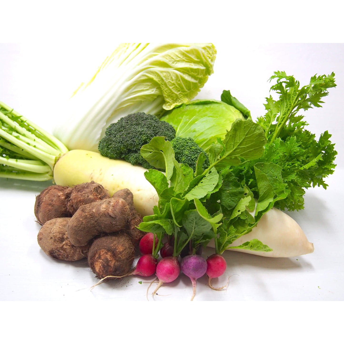徳島新鮮野菜セット(農薬不使用・減農薬)