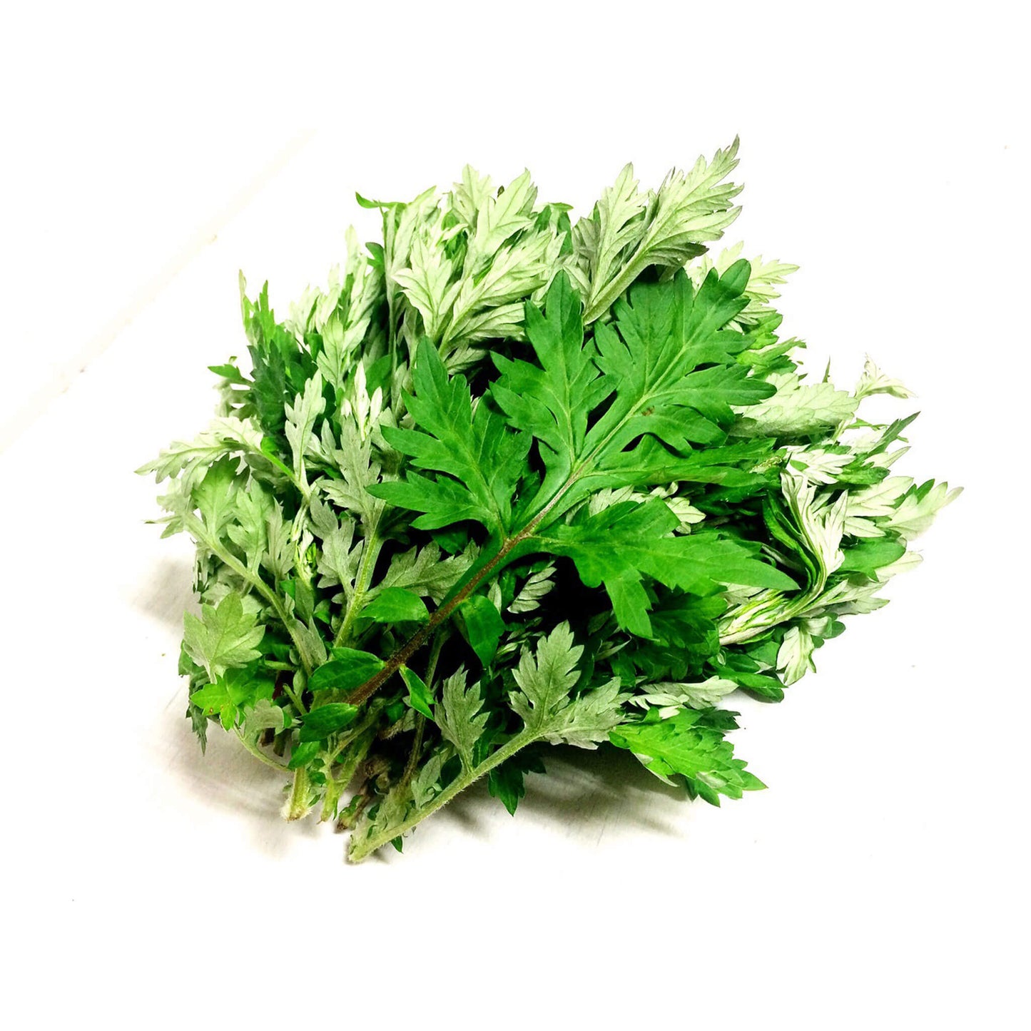 天然よもぎ(未調整・選別・乾燥)画像