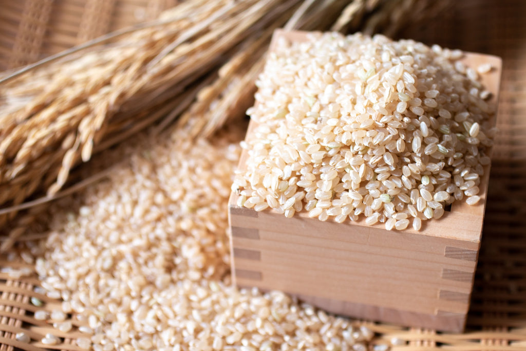 お米の保存方法について（虫対策・酸化防止など）