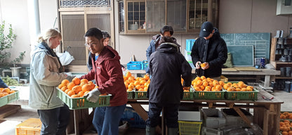 自然農不知火（デコポン）｜200g〜１kg