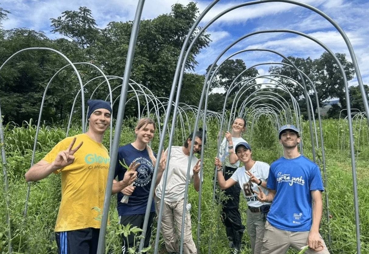 【テスト中】Regeneractive Camp Plans