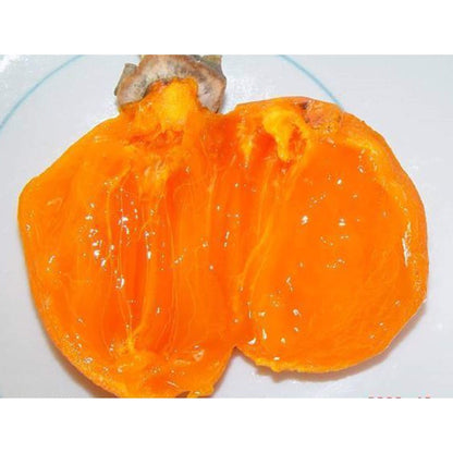 阿波御所柿の干し柿画像