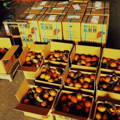 【農薬不使用】“とろり”と軟らかくて美味しい！干し柿５〜６個