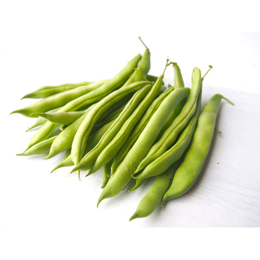 減農薬インゲン画像