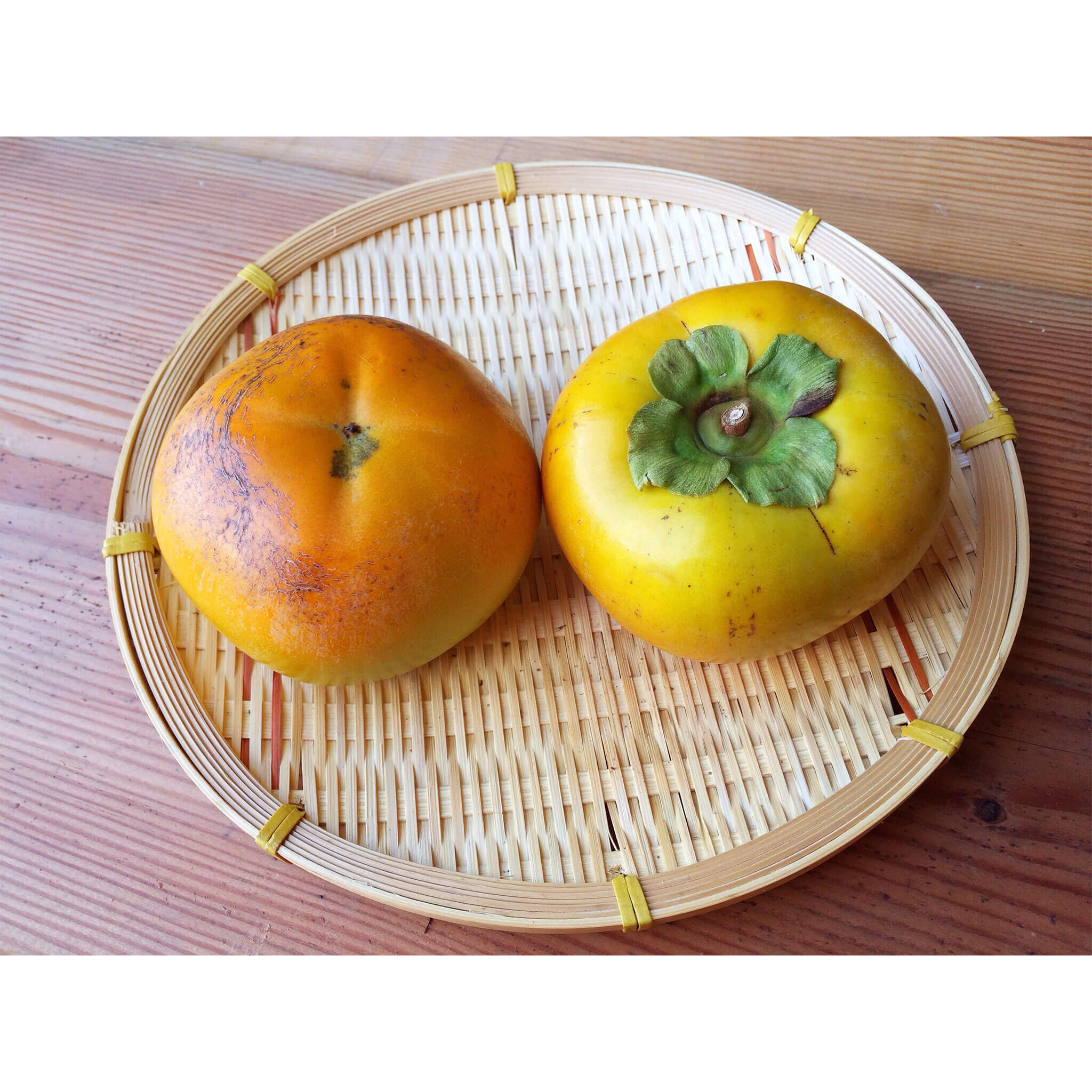 和フルーツ。柿　–　阿波ツクヨミファーム