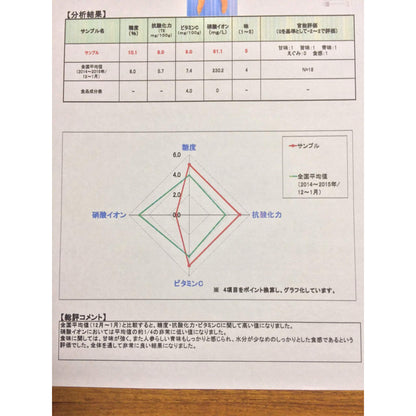 自然農葉付き人参＊500g〜１kg