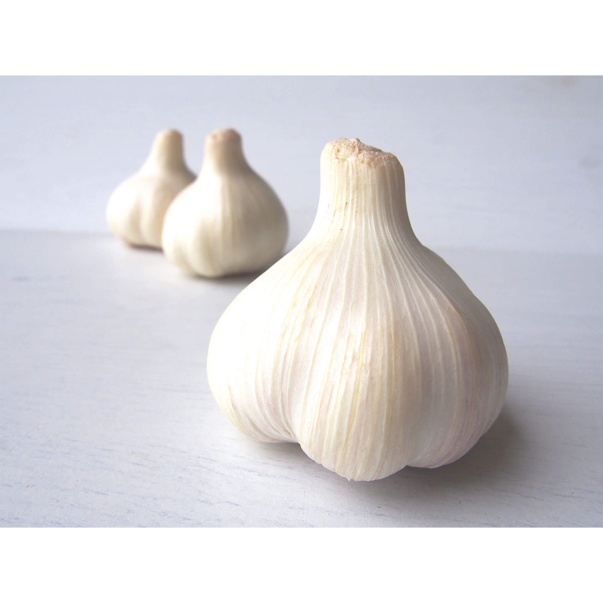 ジャンボニンニク15キロ(農薬,化学肥料不使用) 芽かきや肥料 