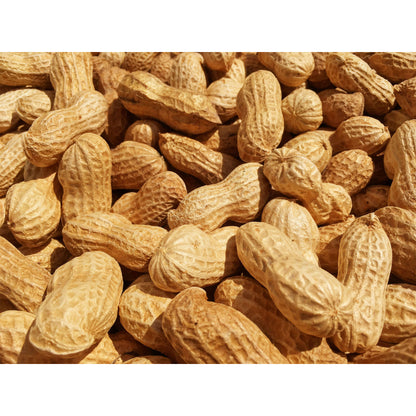 自然農素煎り落花生画像