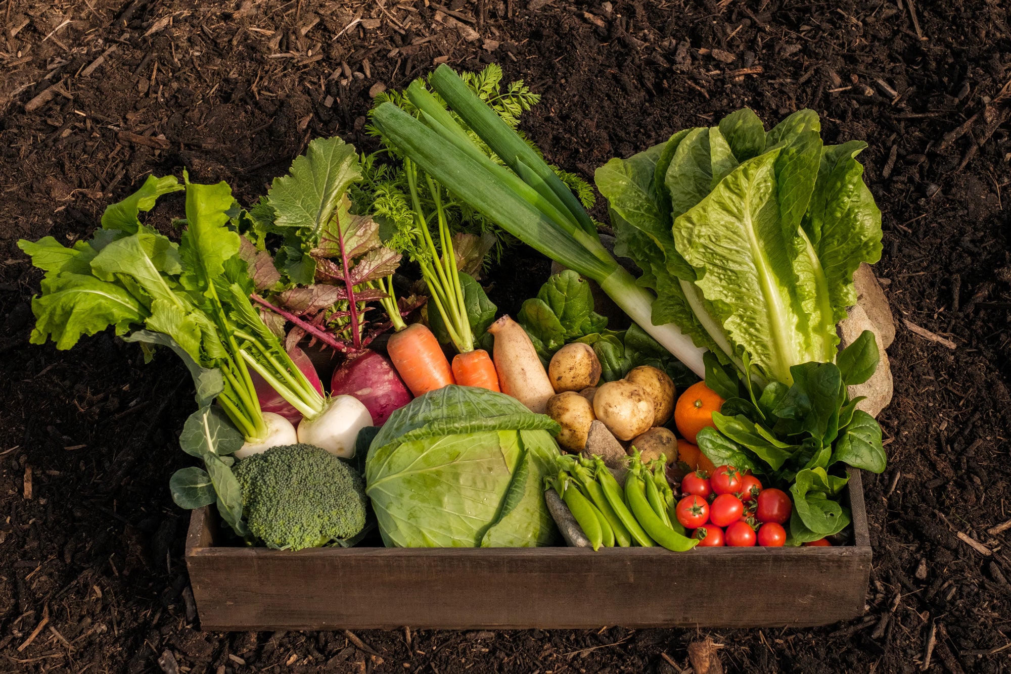 阿波ツクヨミファーム　徳島県の自然栽培農家が運営する産直野菜・果物通販サイト